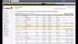 eBuilder Construction Schedule Planning amp Progress Tracking [upl. by Anom]