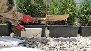 Terrasse nach Starkregen Überschwemmung aufräumen Pflanzen Unwetter Tröge Überflutung [upl. by Acalia]