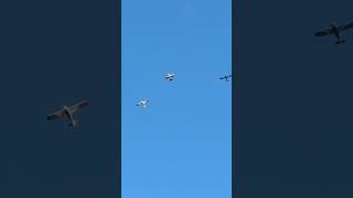 Biplane in 3 formation aviation planes fyp [upl. by Dorinda611]