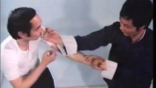 Wing Chun Basic Techniques part 1 [upl. by Odelle220]