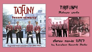 TAJFUNY  STALOWA WODA stereo remix 2023 [upl. by Pettiford209]