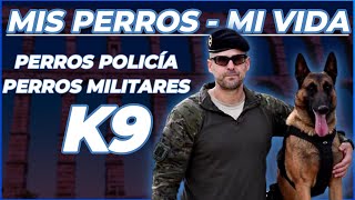 K9 PERROS Tácticos de COMBATE [upl. by Silvana]