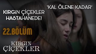 Kırgın Çiçekler 22Bölüm  Kal Ölene Kadar  Tuna Velibaşoğlu  Klip [upl. by Ahseim157]