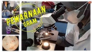 Prosedur PEWARNAAN GRAM  Penjelasannya [upl. by Perzan985]