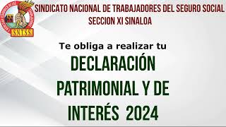 Declaracion Anual y de Interes 2024 SNTSS [upl. by Ecadnarb]