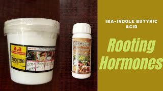 Rooting Hormones For Plants  Indole Butyric Acid  IBA [upl. by Haisej]