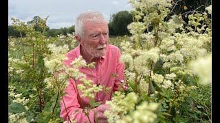 Meadowsweet with John Feehan [upl. by Fabio]