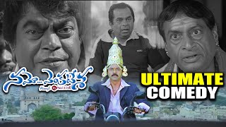 Namo Venkatesa Movie Ultimate Comedy scene  Namo Venkatesa Comedy Scene  iDreamJagtialtc3vd [upl. by Nerac826]