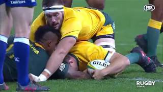 The Rugby Championship Wallabies vs South Africa [upl. by Ynohtnael]