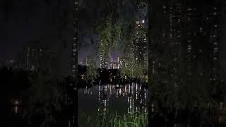 밤마실  열대야tropical night nightscape lakesideview 산책 [upl. by Nike357]