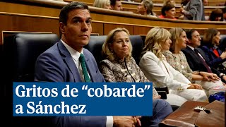 Gritos de quotcobardequot a Sánchez por no intervenir en la investidura [upl. by Atirb492]