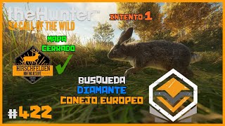 🦌theHunter CotW 422  EN BUSCA DEL DIAMANTE DE CONEJO EUROPEO  HIRSCHFELDEN CERRADO  Español [upl. by Astra]