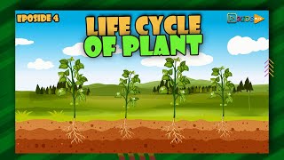 The Magical Life Cycle of Plants for Kids From Seed to Blooms 🌱🌺 [upl. by Gerta]