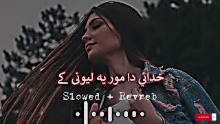 Khudai Da More Ye Lewanai Ke  Slowed  Reverb  New Pashto Song 2024  New Pashto Tapay [upl. by Nnylodnewg]