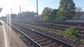 Züge im Bahnhof MagdeburgNeustadt am 20092024 GÜTERZÜGE Regional Verkehr [upl. by Nitsirk]