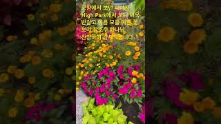 923MonHigh Park에서 고향의 가을을 가득 느끼며 주 하나님 지으신 아름다운 모든 세계를 찬양합니다💖💐 [upl. by Lemrahs659]