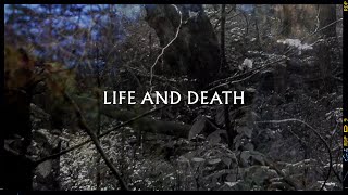 Metronomy  Life and Death Lyric Video [upl. by Ahseneuq774]