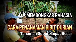 CARA PENANAMAN BIBIT DURIAN AGAR TANAMAN SUBUR [upl. by Pattison]