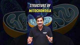 Structure of Mitochondria biology neetbiology neet2024 foryou [upl. by Chuu]