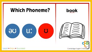 Which Phoneme Part 3 [upl. by Kitchen]