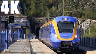 Trains Norrtåg X62 Husum Sweden 4K [upl. by Nomyaw]