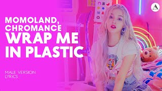 MOMOLAND CHROMANCE  WRAP ME IN PLASTIC  MALE VERSION  LYRICS [upl. by Alidia]