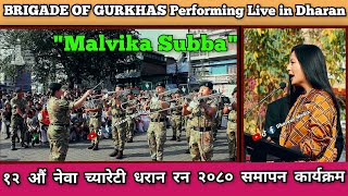 BRIGADE OF GURKHAS Performing Live in Dharan १२ औं नेवा च्यारेटी धरान रन २०८० समापन कार्यक्रम धरान [upl. by Esinert]