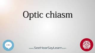 Optic chiasm Anatomy of the Brain SeeHearSayLearn 🔊 [upl. by Navap776]