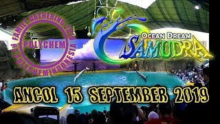 Ocean dream samudra Ancol  family Gathering ptpolychem Indonesia 2019  puayae [upl. by Heyes]