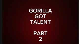 GORILLA GOT TALENT PART 2 not rigged who’s gonna win watch to find out [upl. by Yenterb]