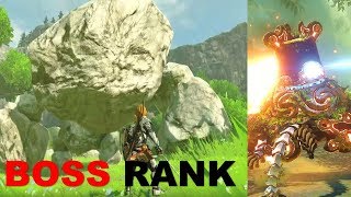 Top Overworld Bosses in BOTW [upl. by Thursby]