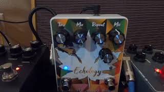 Boulavard Effects Echology Demo [upl. by Athallia]