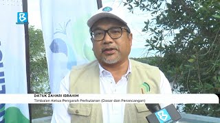 JPSM tanam 500 anak pokok bakau di Hutan Simpan Sungai Merbok [upl. by Acceber]