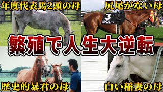 【競馬】繁殖牝馬として大成功をおさめた馬たち【8選】 [upl. by Walls]