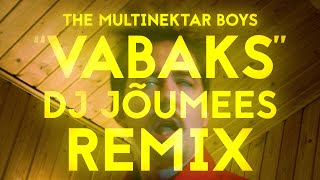 The Multinektar Boys  Vabaks DJ Jõumees Remix [upl. by Ivers]