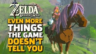 Even More Things I Wish I Knew Before I Started Zelda Breath of the Wild [upl. by Loise]