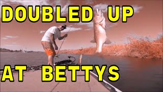 Bass Fishing Bettys Kitchen Yuma AZ [upl. by Tolliver]