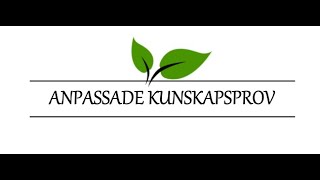 ANPASSADE KUNSKAPSPROV Förlängd tid muntligt teoriprov  Lektion 15 [upl. by Breana]