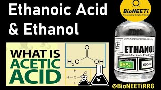 Esterification amp Saponification Chemistrys Soapy Secrets [upl. by Hild]