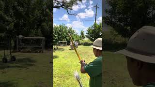 Testing my Osage recurved bow [upl. by Bullough110]