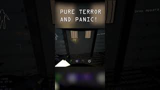 PURE TERROR AND PANIC [upl. by Alcus]