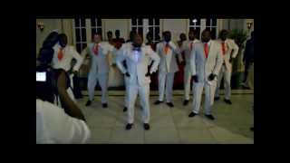 Wedding Party Reception Dance [upl. by Theda]