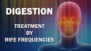 Digestion Frequency  RIFE Frequencies Treatment  Energy amp Quantum Medicine with Bioresonance [upl. by Mahmud]