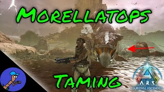 Taming a Morellatops in Scorched Earth on ARK Survival Ascended [upl. by Gut]