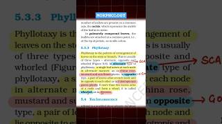 Phyllotaxy Trick  Morphology Examples trick  Class 11 shorts youtubeshorts neet [upl. by Anilac]