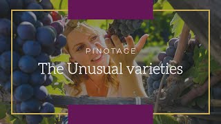 Learn wine Love wine Pinotage [upl. by Gresham]