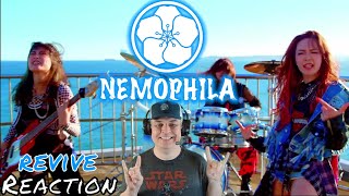 Nemophila Revive Reaction [upl. by Ellita]