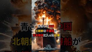 【海外の反応】青ざめる中国‥北朝鮮の不審船が日本領域に入った結果 [upl. by Eiramadnil]