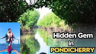 Secrets of Pondicherry Mangrove Forest Fishing Harbour amp more Pondicherry Tourist Places Tamil [upl. by Mellicent]