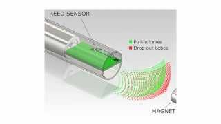 3D Magnetic Mapping for Sensor Applications [upl. by Shig642]